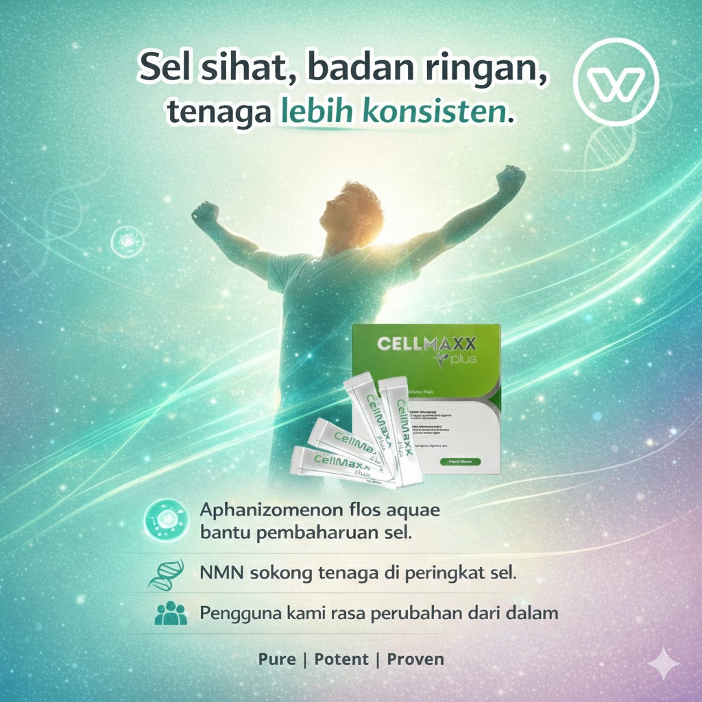 625122334_894572453498248_7479599315608187367_n