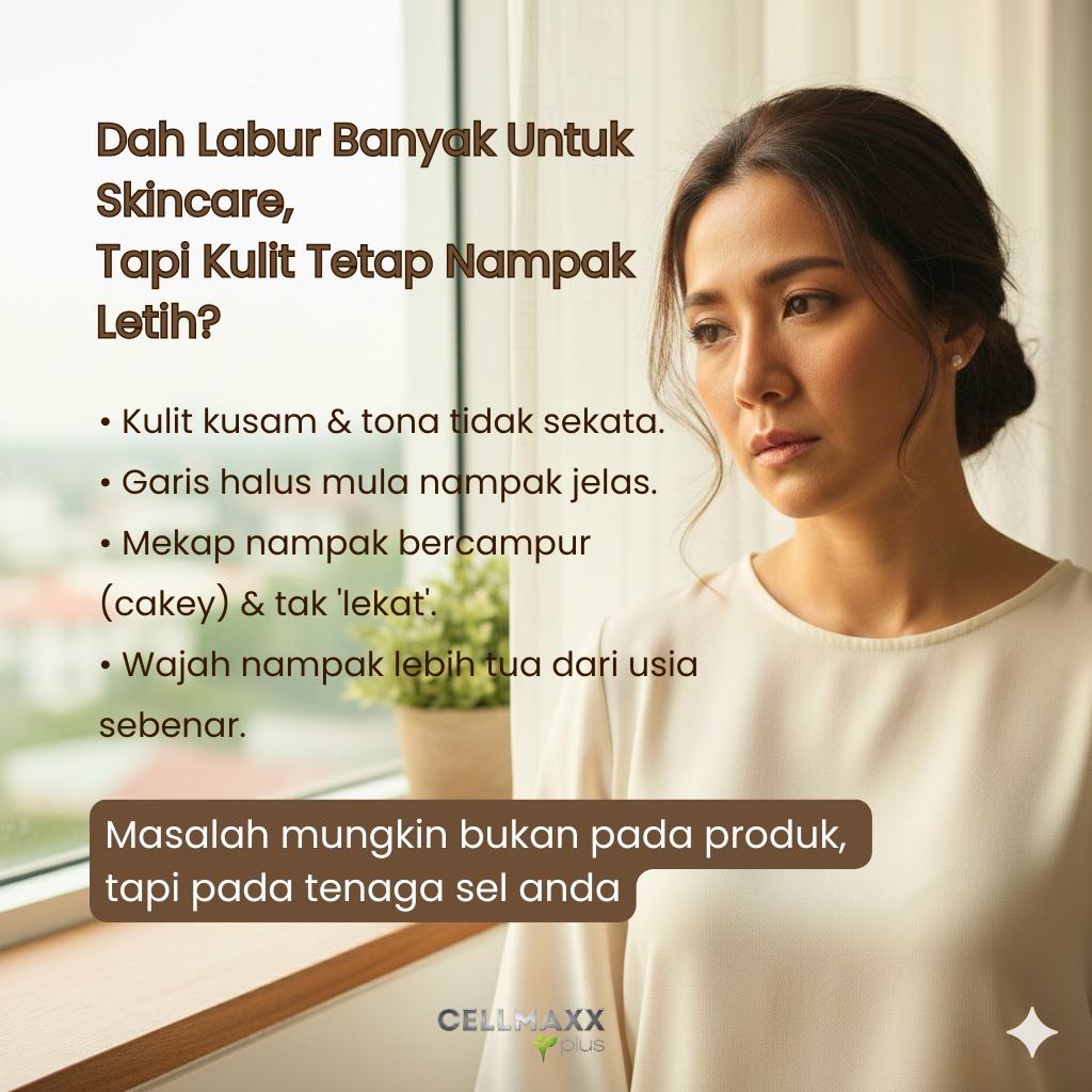 625749375_896525249969635_8060640042467534667_n