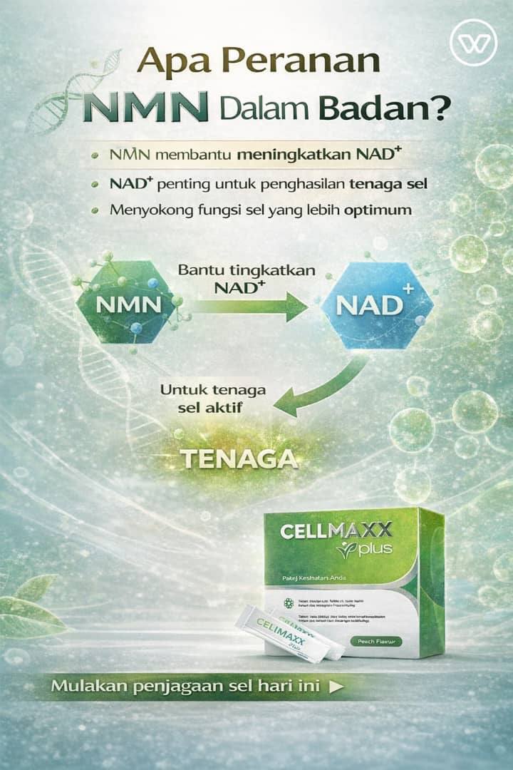 630345136_3144277949076890_5947010560310156931_n