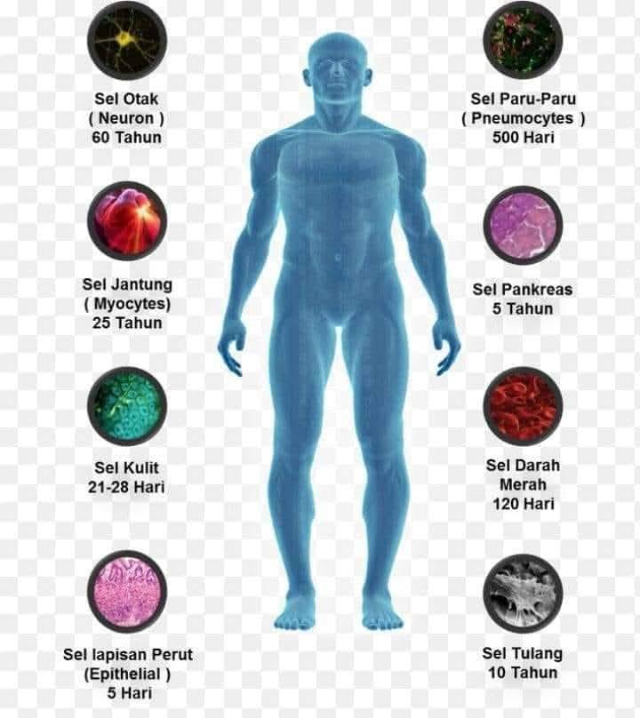 634331365_25738199135871781_5895678730816397598_n